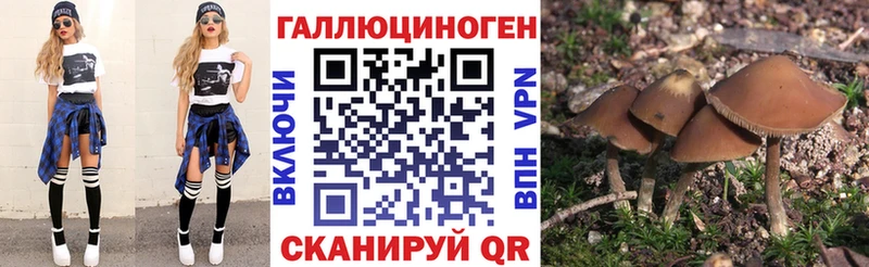 Галлюциногенные грибы GOLDEN TEACHER даркнет наркотические препараты Ленск
